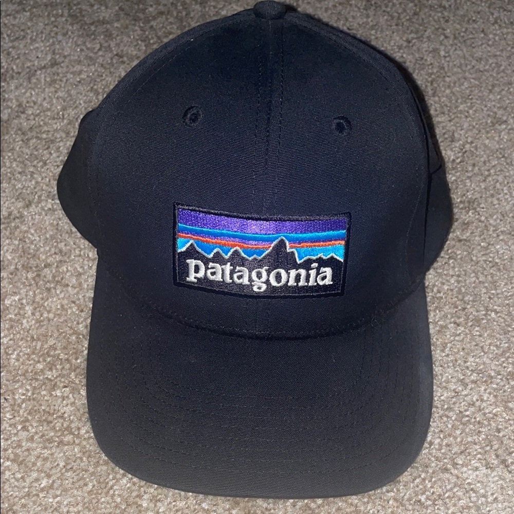 Patagonia Logo SnapBack